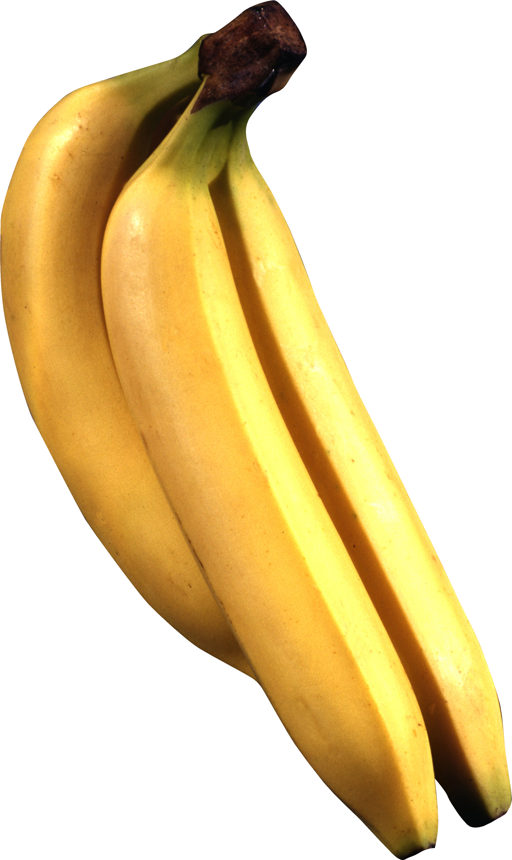 ˮ 㽶 Banana ͸Ԫ (24)